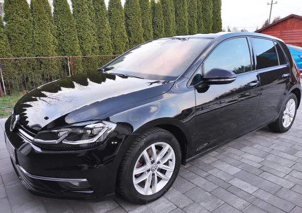 volkswagen suchedniów Volkswagen Golf cena 77900 przebieg: 67960, rok produkcji 2019 z Suchedniów